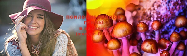 MESCALINE Алзамай