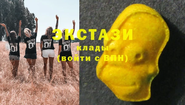 стафф Алексин