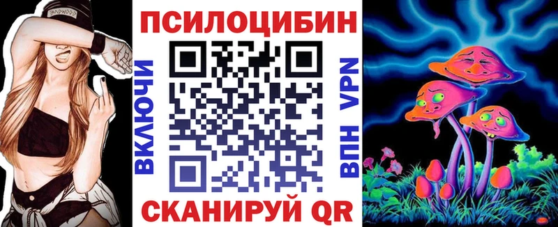 Псилоцибиновые грибы Psilocybe  закладка  гидра   Татарск 